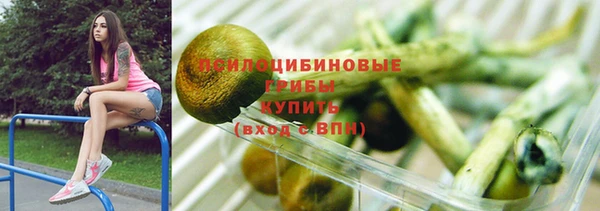 ешки Алексин