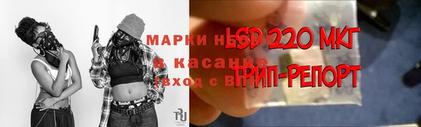 ПСИЛОЦИБИНОВЫЕ ГРИБЫ Покачи