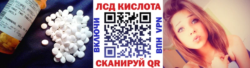 дарк нет наркотические препараты  Снежногорск  LSD-25 экстази ecstasy 